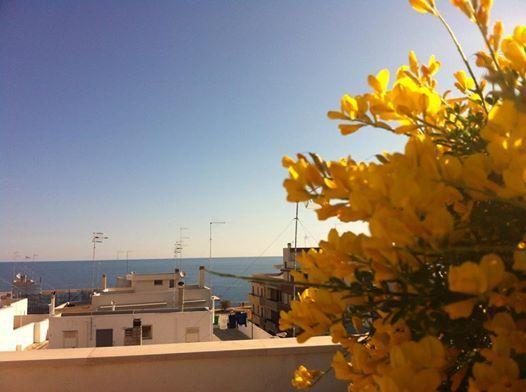 Bed and Breakfast Dimora Delle Rondini Polignano a Mare Zewnętrze zdjęcie